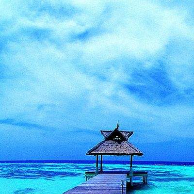 365体育亚洲官方入口app下载